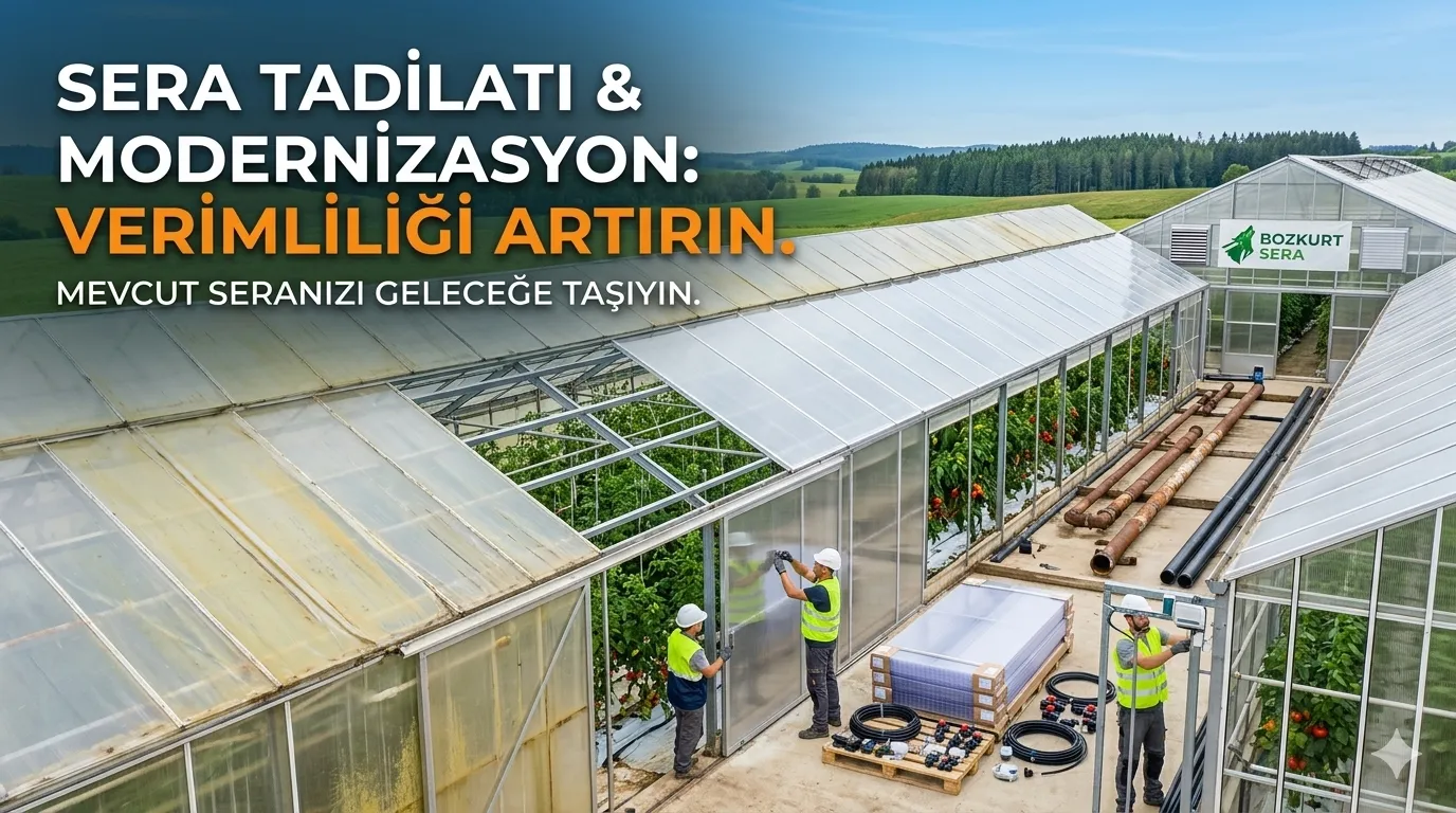 Sera Tadilatı ve Modernizasyon Rehberi: Verimliliğinizi Artırın