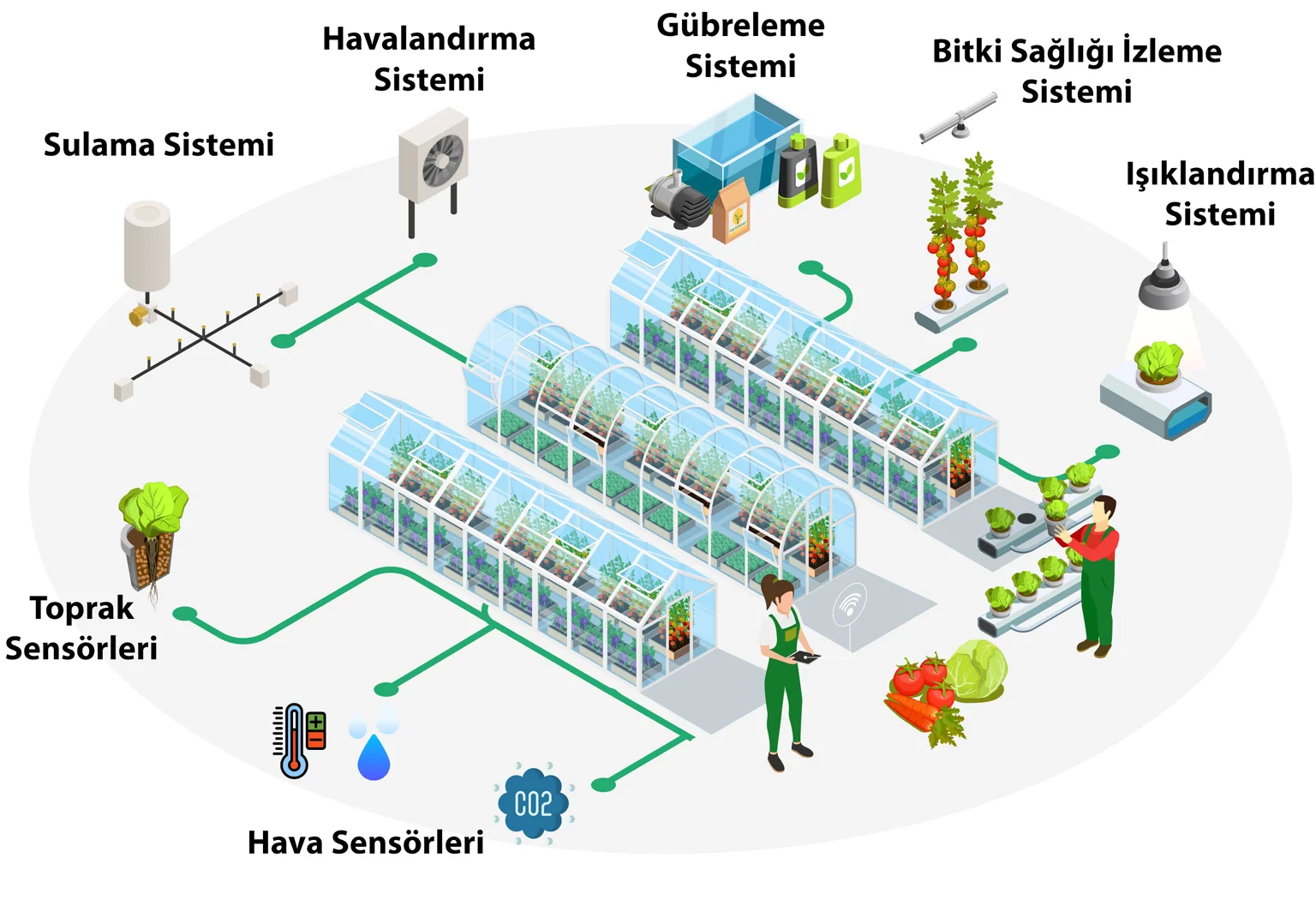 Sera Otomasyon ve İklimlendirme Sistemleri