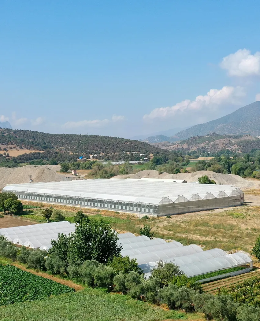 Sajao Robotik Fidelik Projemiz