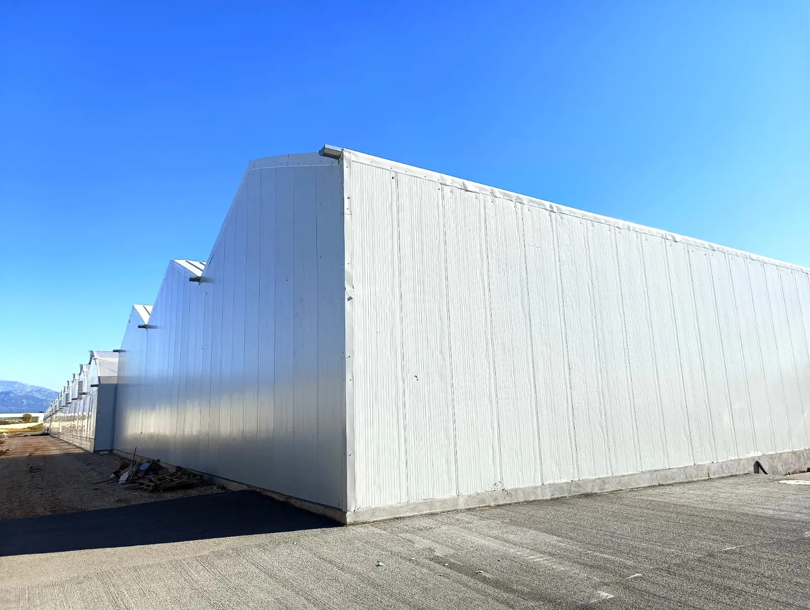 Bifid Fide Aksu projesi